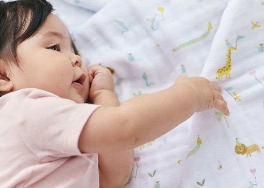 adenandanais image
